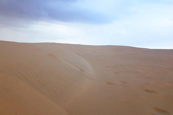 4 Days Tour In Doha | City Tour | North Tour | Desert Safari | West Tour - Day 4: Al Shahaniya racetrack camels, Zekreet terrain, and Richard Serra’s East-West / West-East