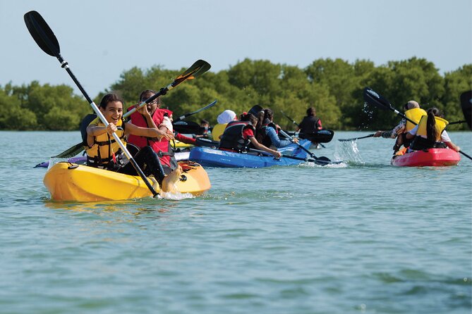 4 Hours Purple Island Mangroves Kayaking Adventure in Qatar - Key things to know before you go