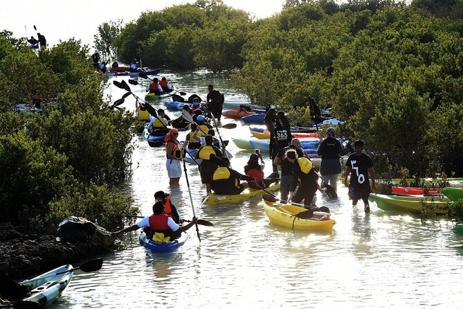 4 Hours Purple Island Mangroves Kayaking Adventure in Qatar - The drive to Al Khor: what the transfer does for your experience