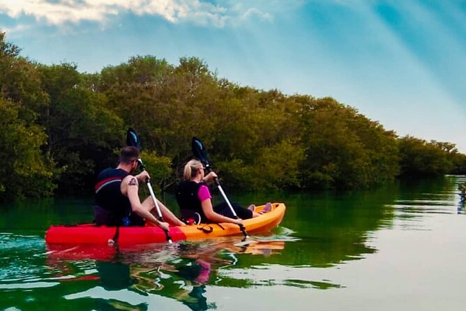 4 Hours Purple Island Mangroves Kayaking Adventure in Qatar - Wildlife highlights you can plan your attention around