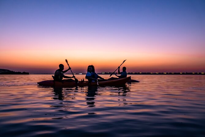 4 Hours Purple Island Mangroves Kayaking Adventure in Qatar - What a private half-day means for your group