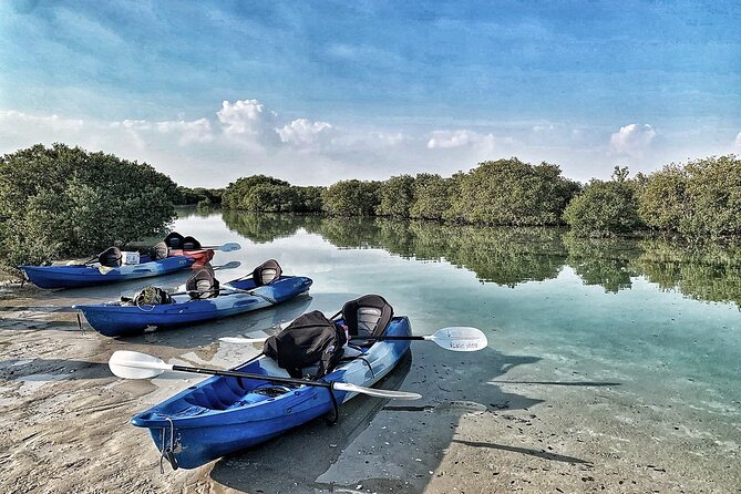 4 Hours Purple Island Mangroves Kayaking Adventure in Qatar - What to bring and how to avoid common discomforts