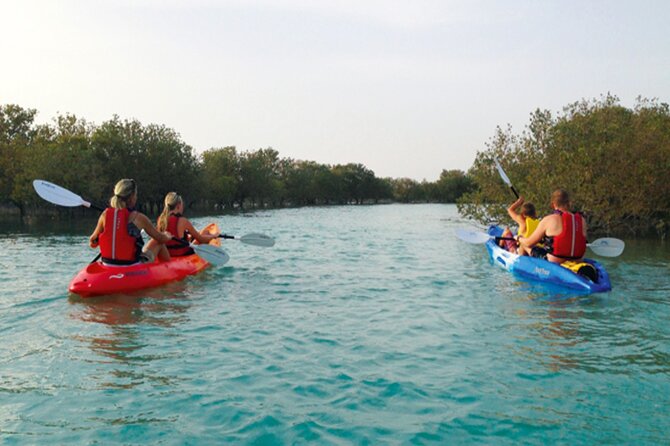 4 Hours Purple Island Mangroves Kayaking Adventure in Qatar - Timing Tip: the tide issue that can make or break mangrove access