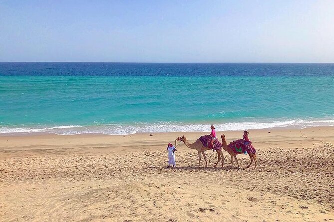 4hr Desert Safari: Sunset,Sunrise,Camel,Sand boarding,Inland Sea - Why this 4-hour Doha desert loop feels like a whole day
