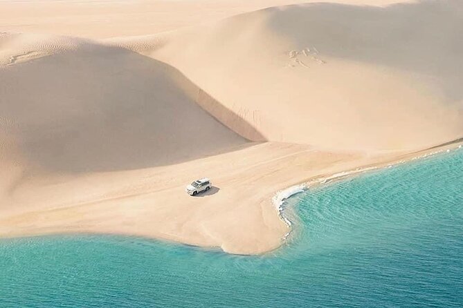 4hr Desert Safari: Sunset,Sunrise,Camel,Sand boarding,Inland Sea - Camel time, falcons, and the Bedouin-style break before dune bashing