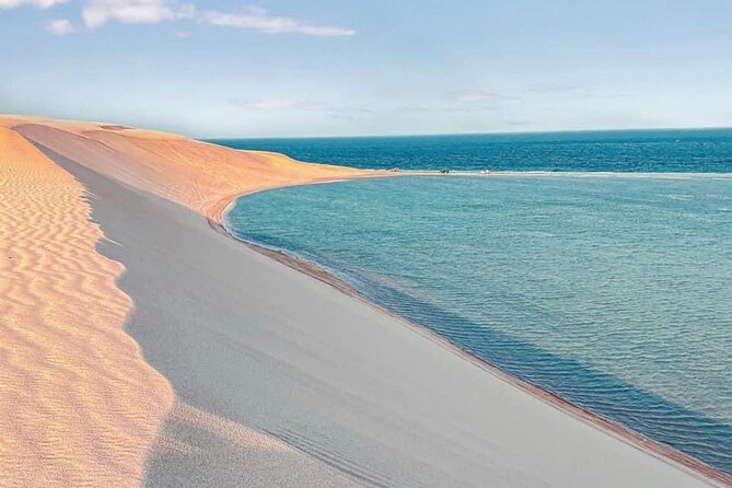 4hr Desert Safari: Sunset,Sunrise,Camel,Sand boarding,Inland Sea - Singing dunes and that short break with a different sound