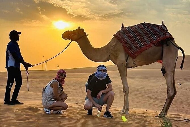 Camel Safari in Desert with Pickup and Drop off in Doha - Price and value: is $185 per person worth it?