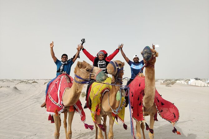 Camel trekking on the Dunes with Sunset - Pickup from anywhere in Doha and the 4:30 pm timing