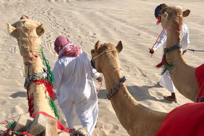 Camel trekking on the Dunes with Sunset - Camel trekking on the dunes: what the 30 minutes feels like