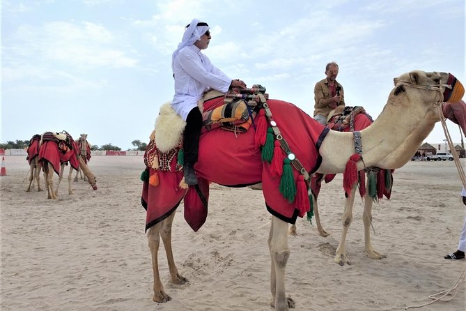 Combo Culture & Adventure: North Qatar Heritage & Desert Safari - Al Khor and Al Thakhira: coasts, fishing culture, and big photo stops
