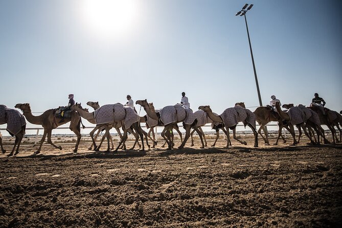 Combo West and North of Qatar Tour - Al Zubara Fort, Qatar’s First UNESCO World Heritage Site