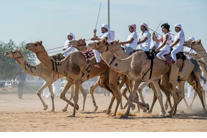 Cultural & Thrills: Sheikh Faisal Museum & Camel Race Adventure - Stop 3: Sheikh Faisal Museum and the Scale of the Collections