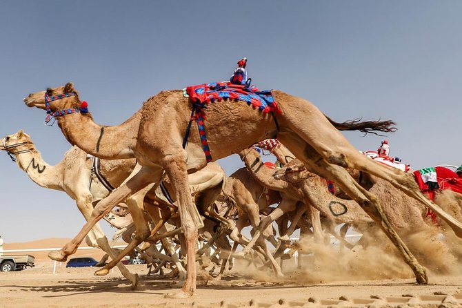 Cultural & Thrills: Sheikh Faisal Museum & Camel Race Adventure - What You’ll Do During the Museum Walk (and Why It Feels Worth It)