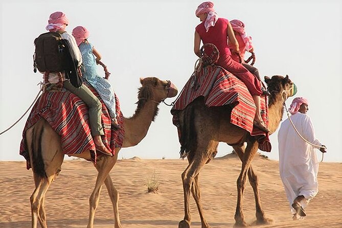 Desert Combo safari, Camel ride, Quad Bike and Dune Bashing(ALL INCLUSIVE) - Pickup, transfers, and the 4x4 ride out of Doha