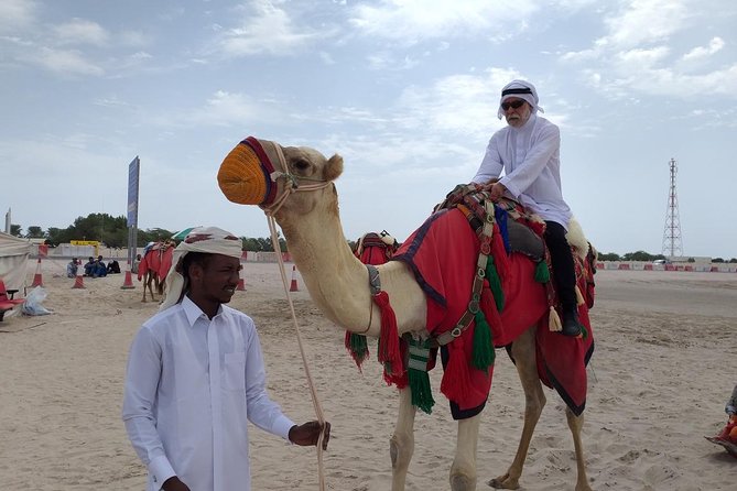 Desert Combo safari, Camel ride, Quad Bike and Dune Bashing(ALL INCLUSIVE) - ATV quad biking: the main event and what to expect
