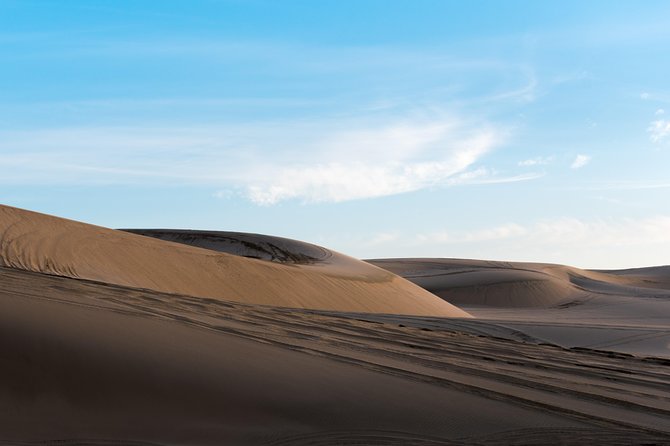 Desert Combo safari, Camel ride, Quad Bike and Dune Bashing(ALL INCLUSIVE) - Camel ride: short, authentic, and deliberately not overdone