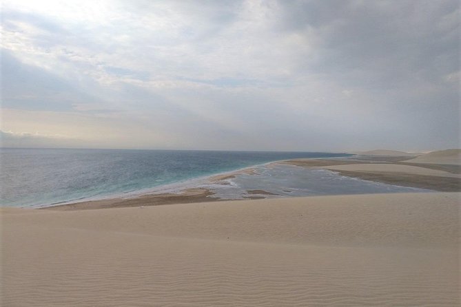 Desert Combo safari, Camel ride, Quad Bike and Dune Bashing(ALL INCLUSIVE) - Safety, insurance, and personal responsibility (read this part)