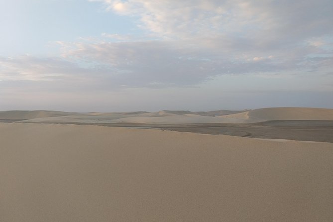 Desert Combo safari, Camel ride, Quad Bike and Dune Bashing(ALL INCLUSIVE) - Sealine Beach and the lead-in to the desert