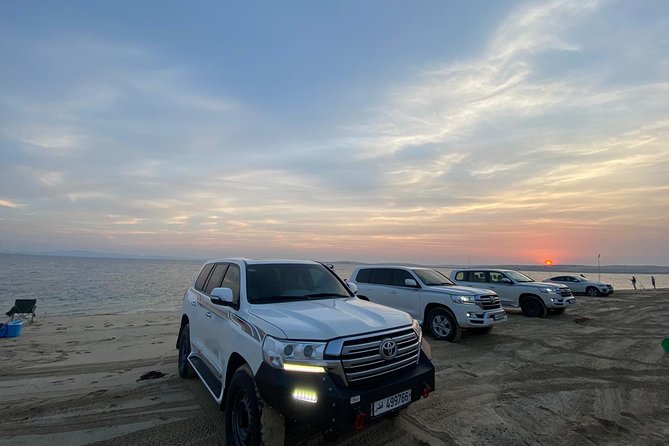 Desert Safari 7 Hours Tour with Dinner and Camp - Practical Tips Before You Go