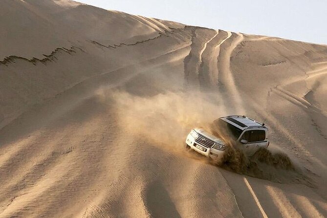 Desert Safari and Inland Sea(Private Tour) - Mesaieed Beach stop: extra camel moments, falcon photos, and Arabic tea