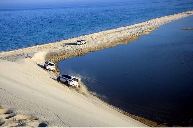 Desert Safari and Inland Sea(Private Tour) - Dune bashing and sand boarding: the adrenaline part you’ll remember