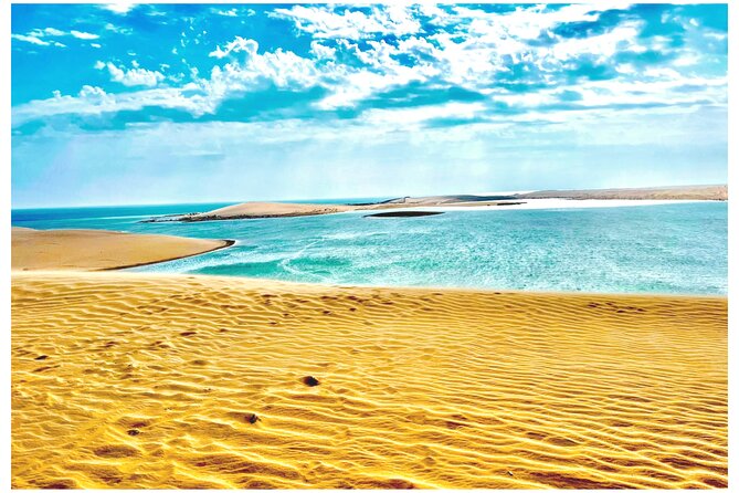 Desert Safari Combo: Camel Ride, Sandboarding & Inland Sea Visit - Key Highlights You’ll Feel Right Away