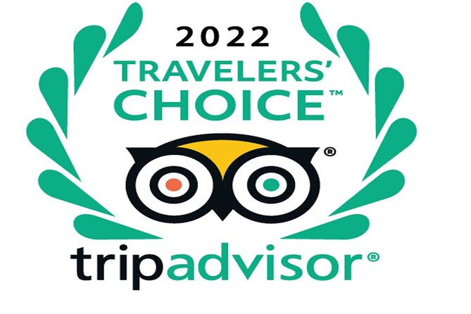 Desert safari, Dune bashing, sandboarding, camel, ATV Option - Key highlights you should care about