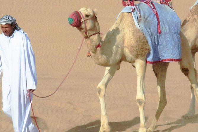 Desert safari, Dune bashing, sandboarding, camel, ATV Option - Doha Desert Safari, the big idea and why it works