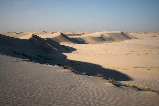 Desert safari, Dune bashing, sandboarding, camel, ATV Option - Dune bashing: the adrenaline part you actually remember