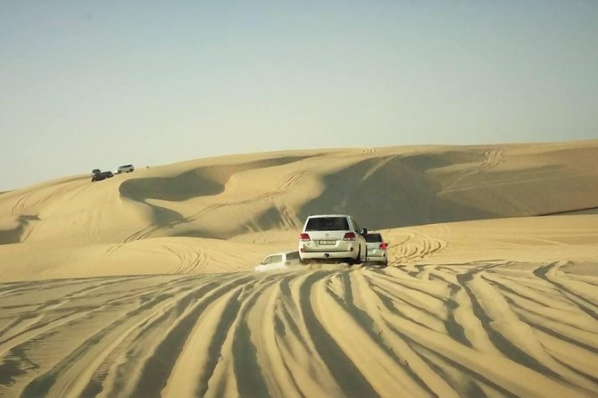 Desert safari, Dune bashing, sandboarding, camel, ATV Option - Sandboarding: turn the dunes into your playground