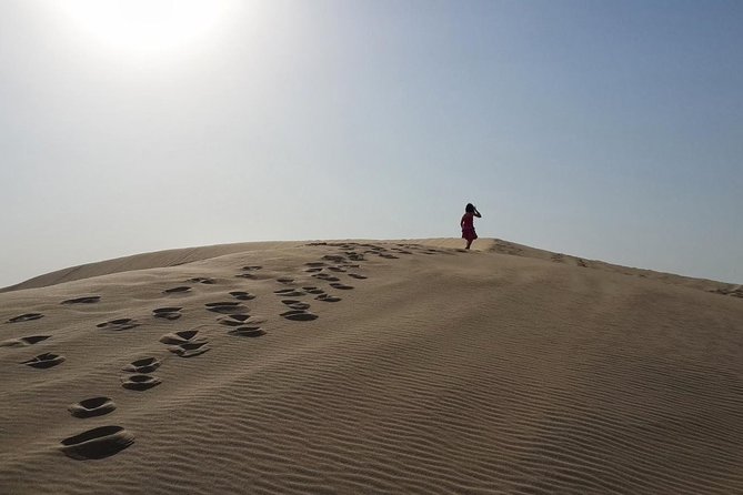 Desert safari, Dune bashing, sandboarding, camel, ATV Option - Return to Doha: easy landing after the chaos