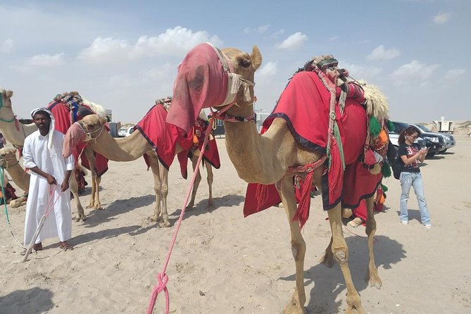 Desert safari, Dune bashing, sandboarding, camel, ATV Option - What’s included in the price, and what that means for value