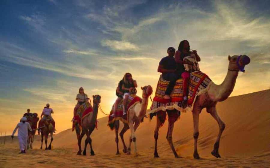 Desert Safari, Dunes Ride, Sand Boarding & Inland Sea Tour - Sealine Beach Resort Stop: Camels, Tea, Falcon Photo, and a Breather