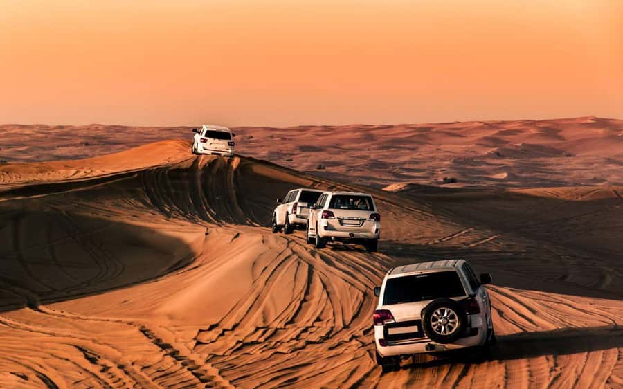 Desert Safari, Dunes Ride, Sand Boarding & Inland Sea Tour - Should You Book Desert Rose Tourism Qatar for This 4-Hour Safari?