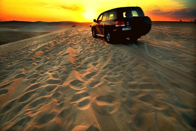 Desert Safari - Morning, Afternoon, Sunrise & Sunset Options - Why Qatar Dunes Feel Like a Real Change of Scene