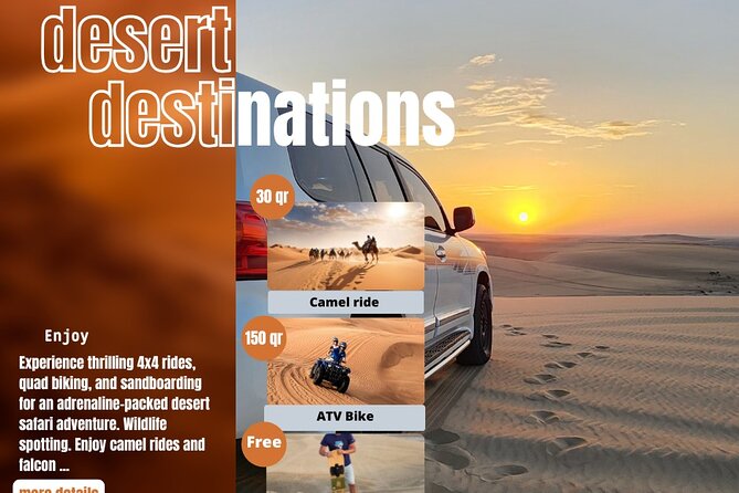 Desert Safari Qatar - Price check: how $30 can still feel like real value