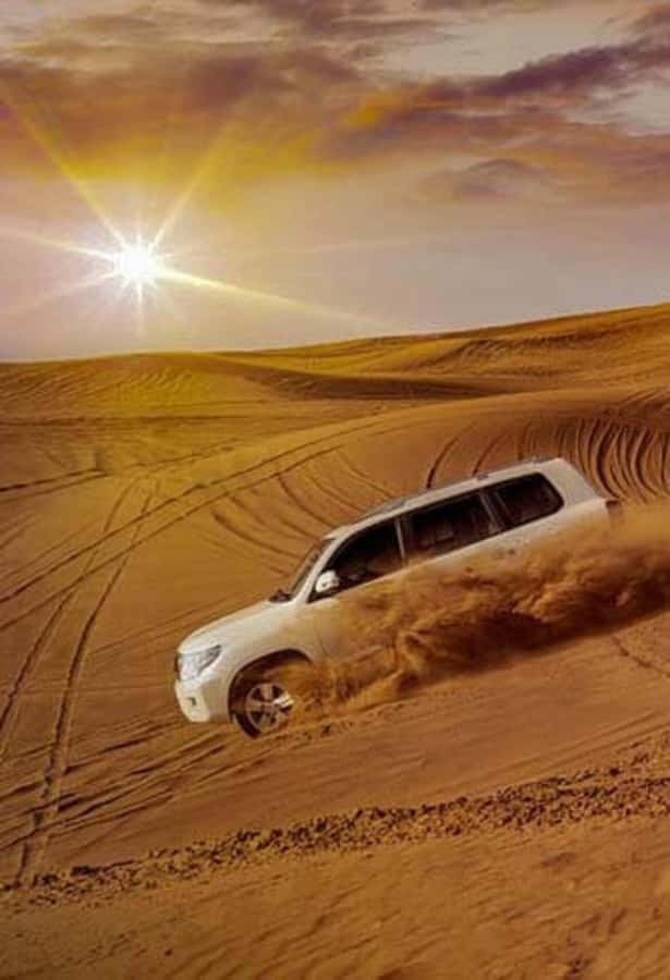 Desert Safari, Quad Bike, Camel Ride, Falcon & Sandboarding - Who should book this desert safari, and who should skip it