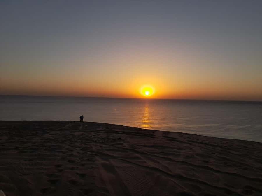 Desert Safari, Quad Bike, Camel Ride, Falcon & Sandboarding - Sealine Beach tire deflation and dune bashing at sunset