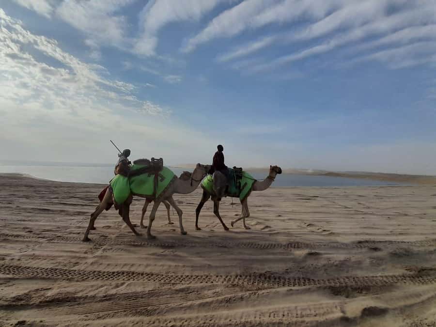 Desert Safari, Quad Bike, Camel Ride, Falcon & Sandboarding - Khor al Udiad inland sea swim and the desert-to-water contrast