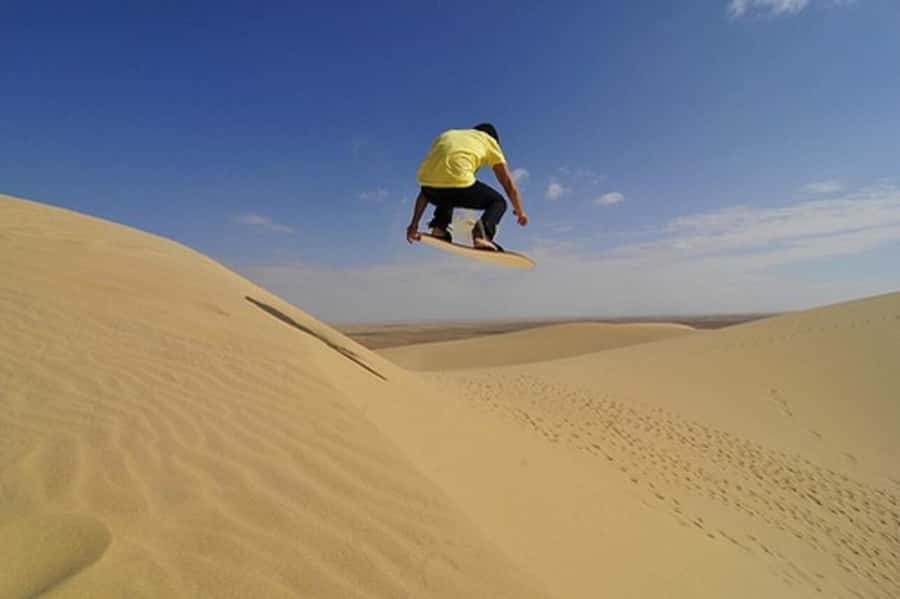 Desert Safari, Quad Bike, Camel Ride, Falcon & Sandboarding - Price and value for a 4.5-hour Doha desert adventure
