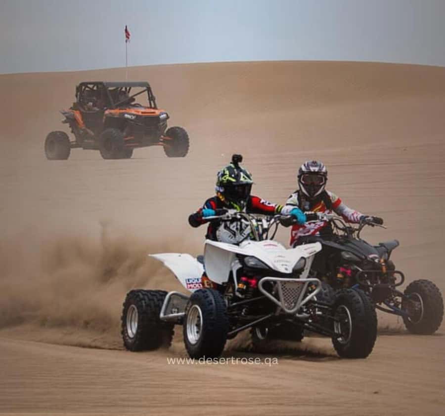 Desert Safari, Quad Bike, Camel Ride, Falcon & Sandboarding - 30 minutes of quad biking over the dunes