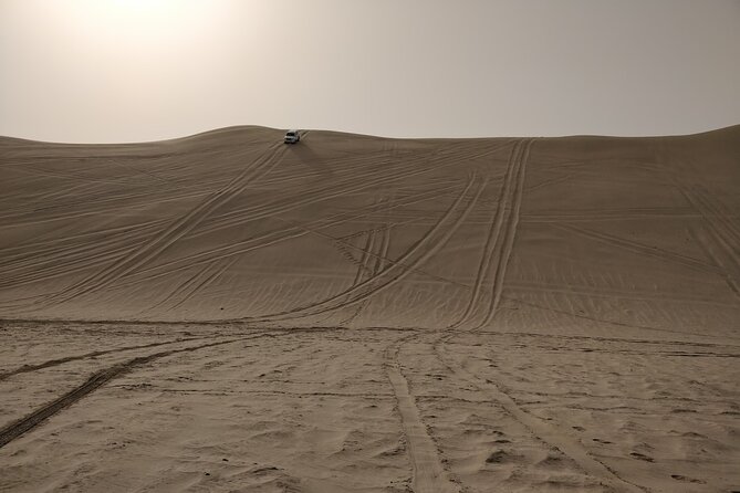 Desert Safari, Quad Bike, Sandboarding and Camel Ride - Khor Al Udaid and the Inland Sea View That Gives Context