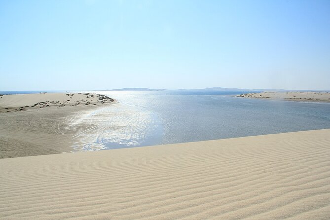 Desert Safari, Quad Bike, Sandboarding and Camel Ride - Sandboarding: The Fun Skill Shot You Might Not Expect