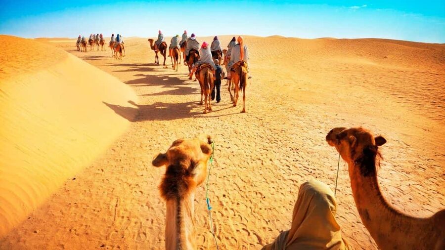 Desert Safari, QuadBike,Dune buggy, Sandboarding & CamelRide - Desert safari Qatar, quad biking, camel ride, and Inland Sea swimming, all in one loop