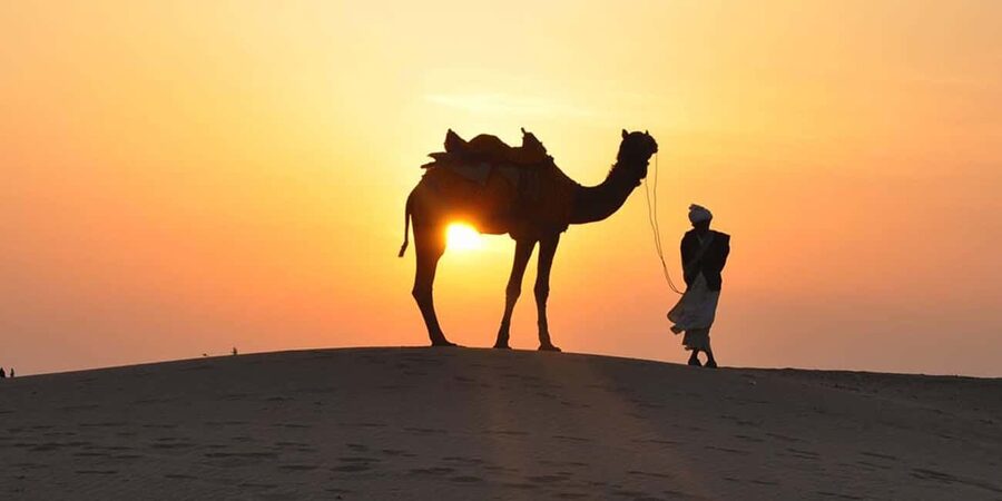 Desert Safari, QuadBike,Dune buggy, Sandboarding & CamelRide - Dune bashing for big thrills, plus sandboarding when the dunes get steeper