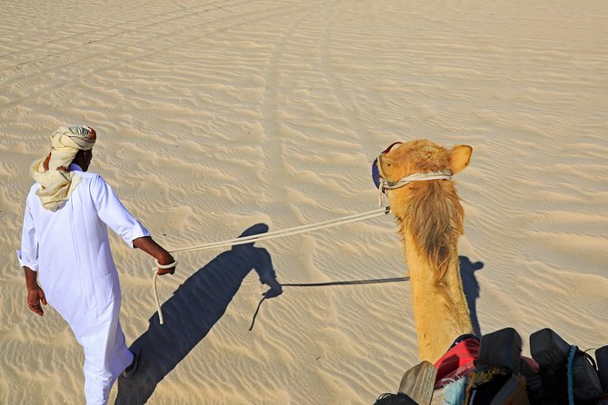 Desert Safari with Camel Ride, Sand Boarding & Inland Sea Tour in Doha - Dune bashing in a 4x4 Land Cruiser: fun, intensity, and safety