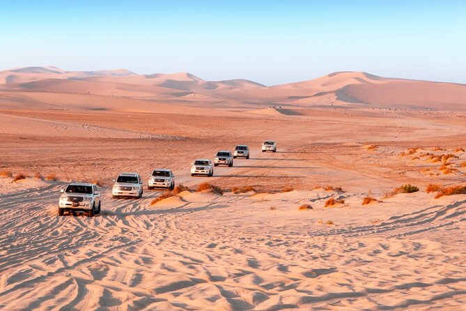 Desert Thrills Wild Dunes Safari in Doha - Camel rides and falcon interactions: cultural moments that need a light touch