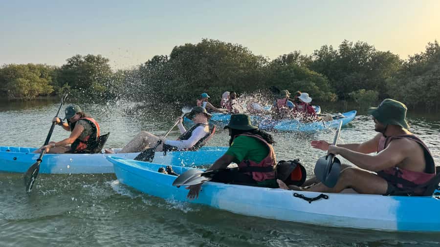 Discover Purple Island | Guided Mangrove Kayaking Experience - Safety first: briefing, life jackets, water depth, and limits that matter