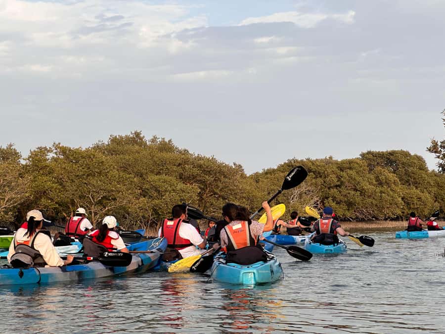 Discover Purple Island | Guided Mangrove Kayaking Experience - Purple Island stop: resting, photos, and optional swimming or snorkeling