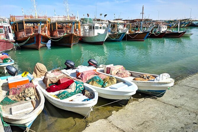 Discover Qatar’s Hidden Gems: North & West Coast Private Tour - Price and value: what $130 buys for a 7 to 8 hour day